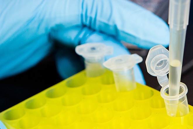 lab_test_tubes