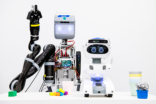 robots_callout